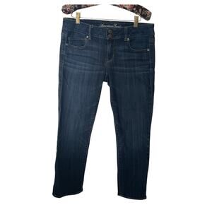 Vintage American Eagle Outfitters Jeans Size 8 Medium Wash Artist  Stretch  Y2K